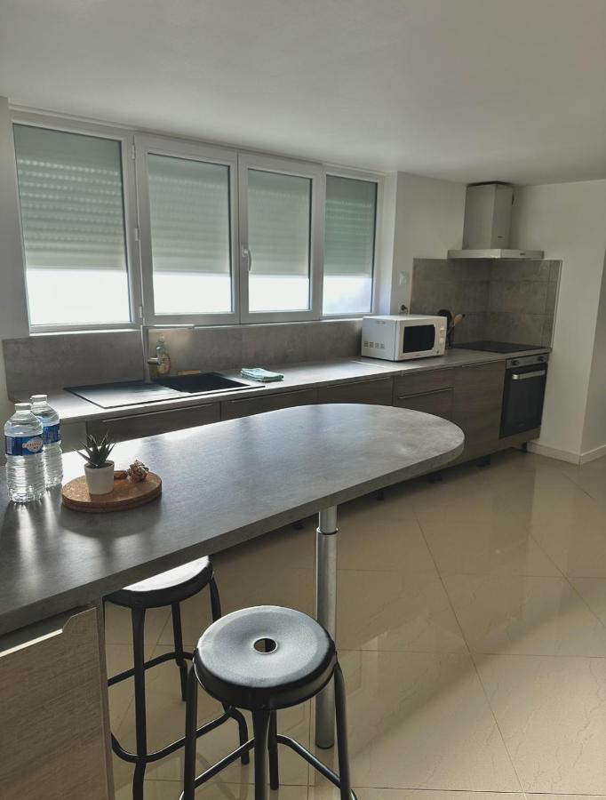 شقة Petite Maison Studio Tout Confort Cosy Givors Autoroute Et Gare المظهر الخارجي الصورة