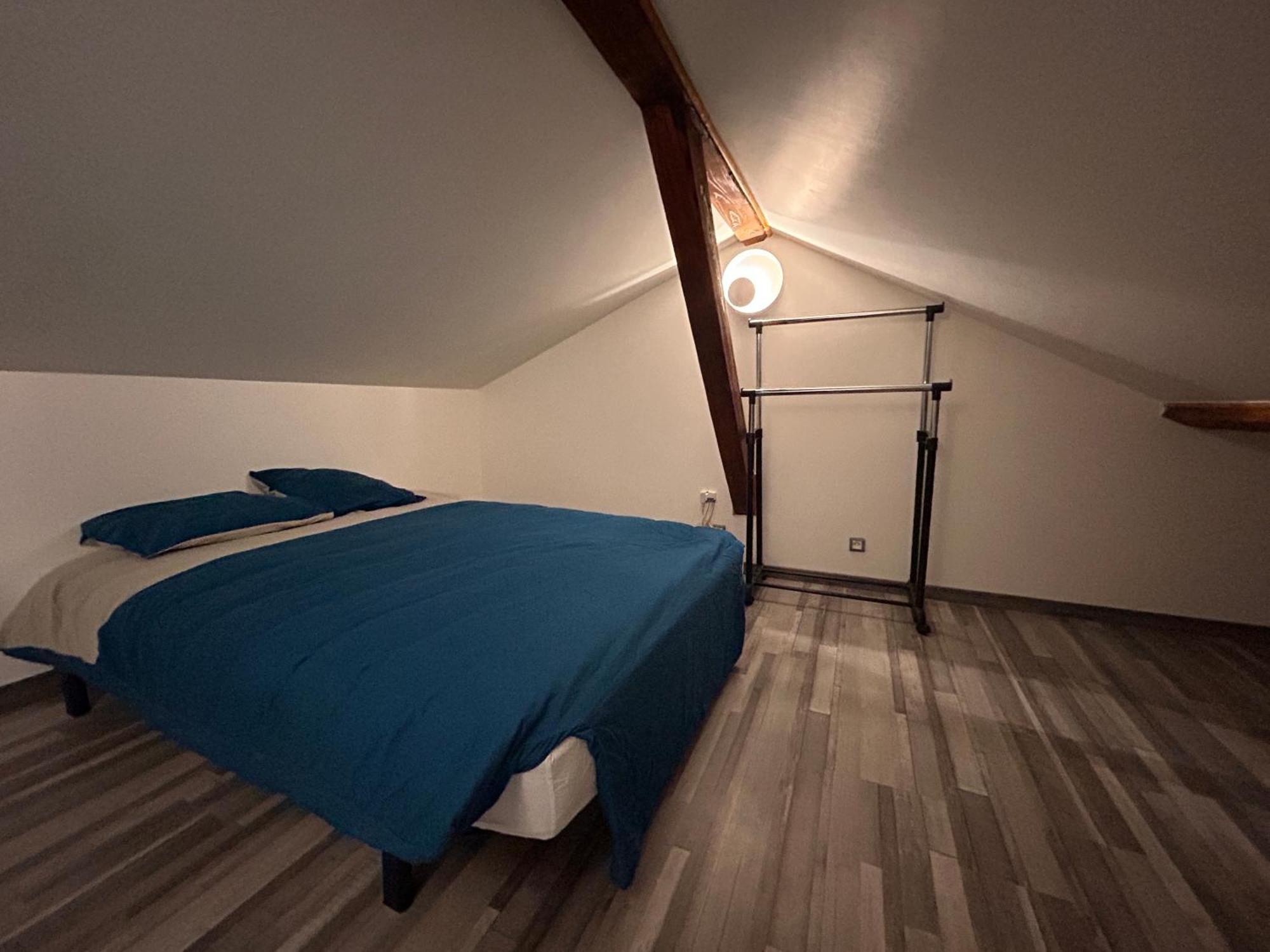 شقة Petite Maison Studio Tout Confort Cosy Givors Autoroute Et Gare المظهر الخارجي الصورة